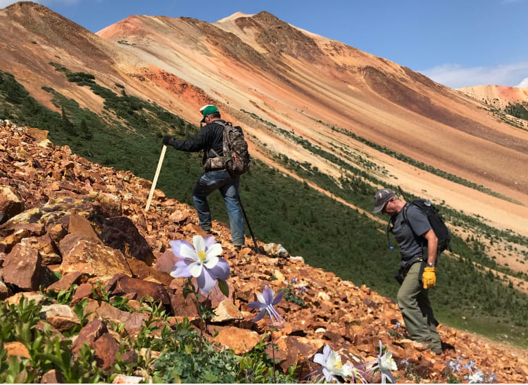 Red Mountain Cadastral Survey